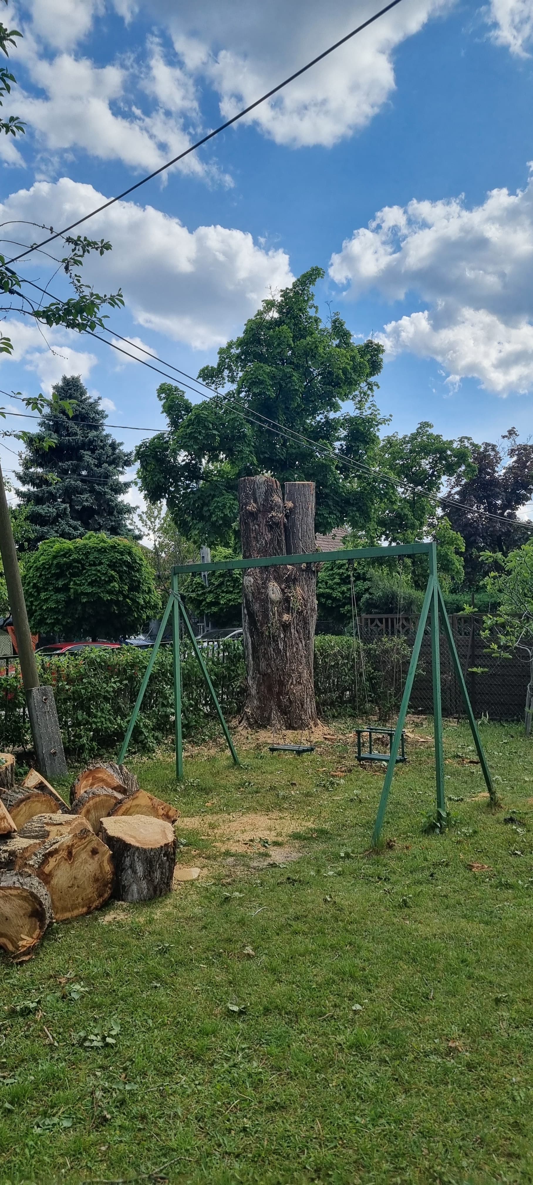 Hazardous tree removal — AFTER